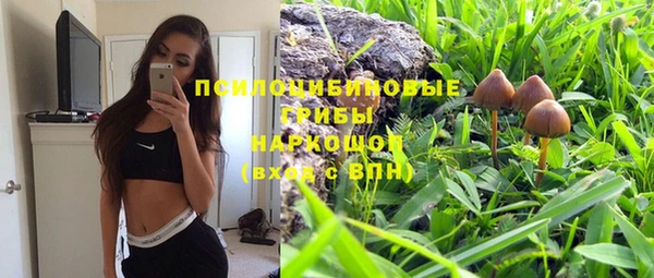 таблы Алзамай